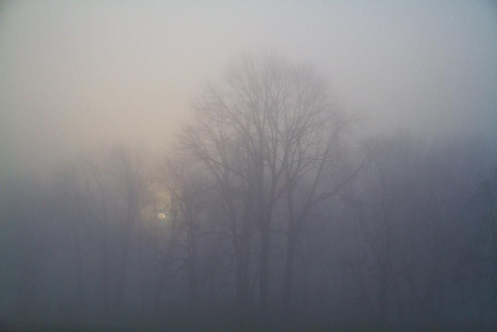 2012-11 IN Foggy Day (4)